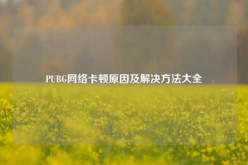 PUBG网络卡顿原因及解决方法大全