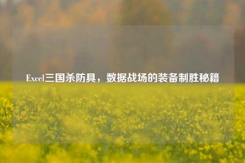 Excel三国杀防具，数据战场的装备制胜秘籍