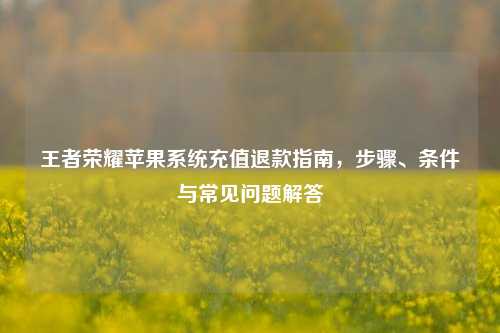 王者荣耀苹果系统充值退款指南，步骤、条件与常见问题解答
