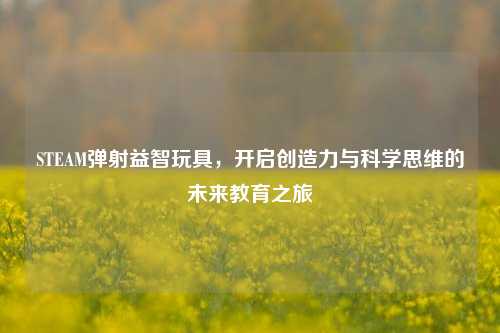 STEAM弹射益智玩具，开启创造力与科学思维的未来教育之旅