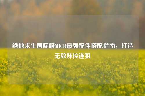 绝地求生国际服MK14最强配件搭配指南，打造无敌妹控连狙