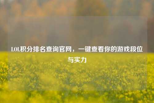 LOL积分排名查询官网，一键查看你的游戏段位与实力