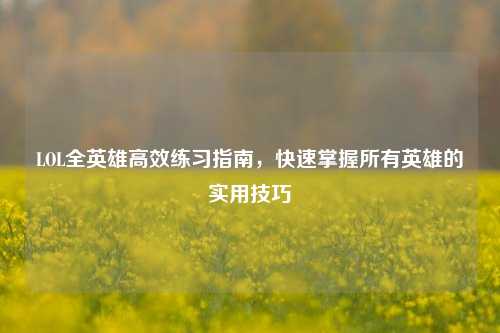 LOL全英雄高效练习指南，快速掌握所有英雄的实用技巧