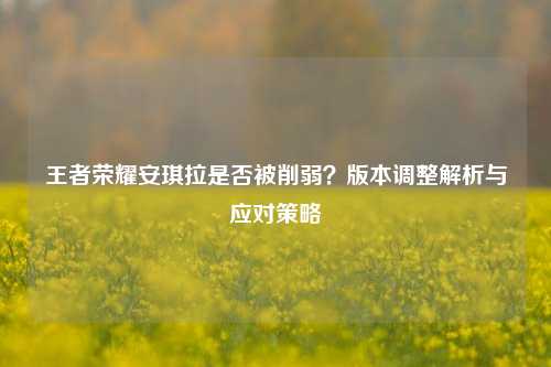 王者荣耀安琪拉是否被削弱？版本调整解析与应对策略