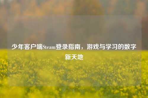 少年客户端Steam登录指南，游戏与学习的数字新天地