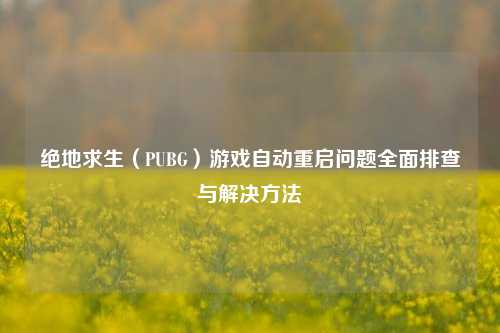 绝地求生（PUBG）游戏自动重启问题全面排查与解决方法