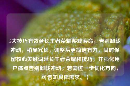 5大技巧有效延长王者荣耀游戏寿命，告别卸载冲动，稍显冗长，调整后更简洁有力，同时保留核心关键词延长王者荣耀和技巧，并强化用户痛点告别卸载冲动。若需进一步优化方向，可告知具体需求。）