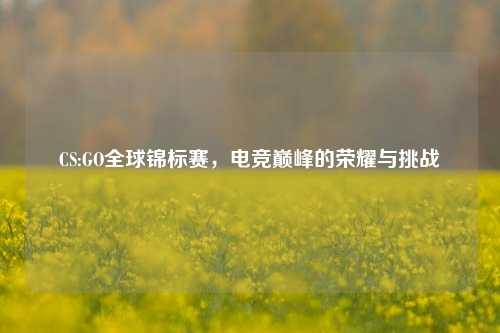 CS:GO全球锦标赛，电竞巅峰的荣耀与挑战