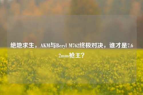绝地求生，AKM与Beryl M762终极对决，谁才是7.62mm枪王？