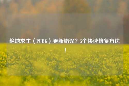 绝地求生（PUBG）更新错误？5个快速修复方法！