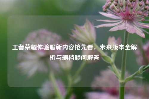 王者荣耀体验服新内容抢先看，未来版本全解析与删档疑问解答
