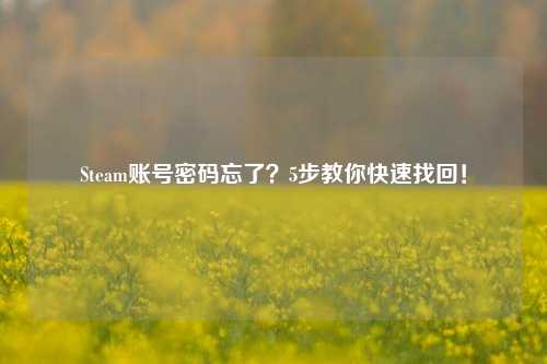 Steam账号密码忘了？5步教你快速找回！