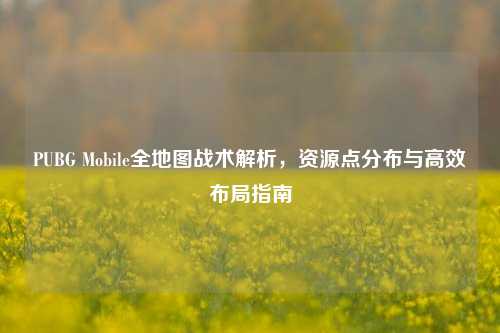 PUBG Mobile全地图战术解析，资源点分布与高效布局指南
