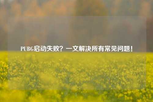 PUBG启动失败？一文解决所有常见问题！