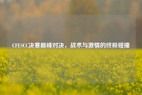 CFESCC决赛巅峰对决，战术与激情的终极碰撞