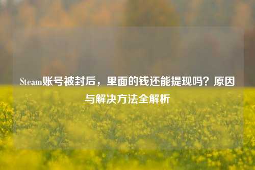 Steam账号被封后，里面的钱还能提现吗？原因与解决方法全解析