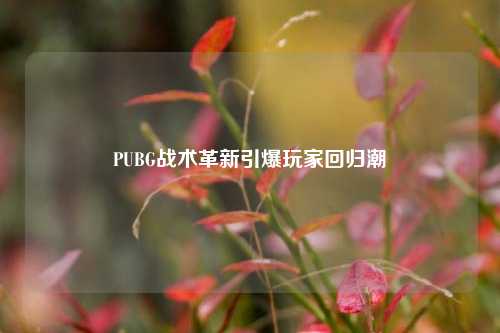 PUBG战术革新引爆玩家回归潮
