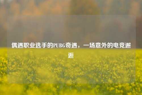偶遇职业选手的PUBG奇遇，一场意外的电竞邂逅