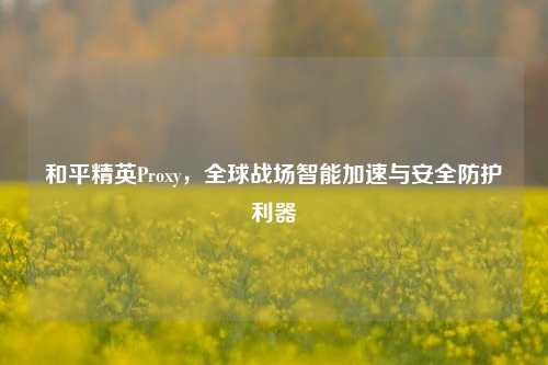 和平精英Proxy，全球战场智能加速与安全防护利器