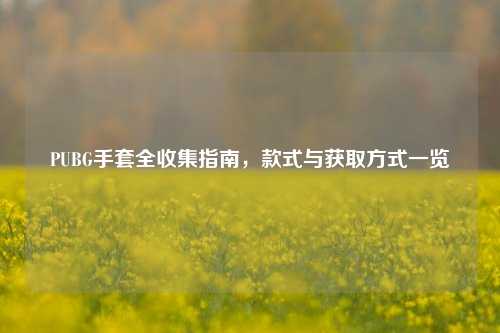 PUBG手套全收集指南，款式与获取方式一览