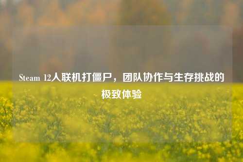 Steam 12人联机打僵尸，团队协作与生存挑战的极致体验