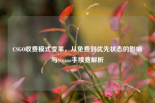 CSGO收费模式变革，从免费到优先状态的影响与Steam手续费解析