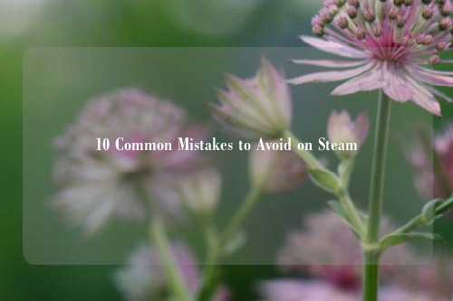 10 Common Mistakes to Avoid on Steam