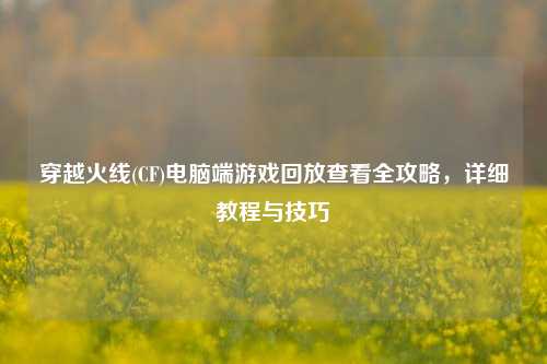 穿越火线(CF)电脑端游戏回放查看全攻略，详细教程与技巧