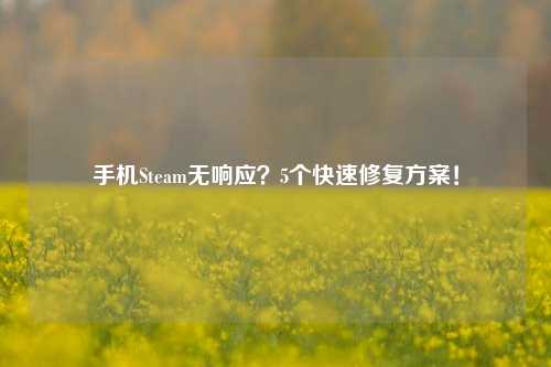 手机Steam无响应？5个快速修复方案！