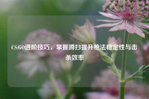 CS:GO进阶技巧，掌握蹲扫提升枪法稳定性与击杀效率
