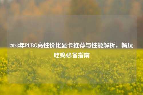 2023年PUBG高性价比显卡推荐与性能解析，畅玩吃鸡必备指南