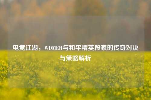 电竞江湖，WDMEH与和平精英段家的传奇对决与策略解析