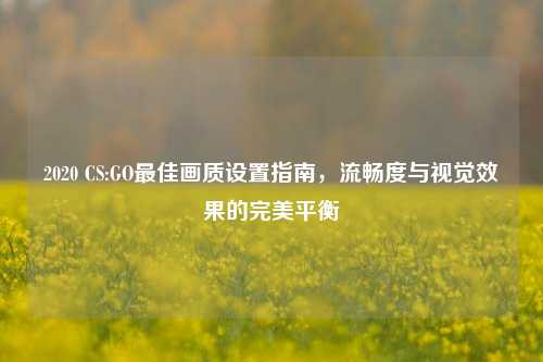 2020 CS:GO最佳画质设置指南，流畅度与视觉效果的完美平衡