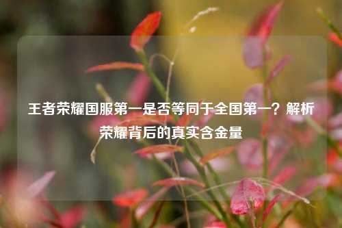 王者荣耀国服第一是否等同于全国第一？解析荣耀背后的真实含金量