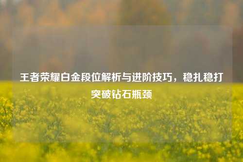 王者荣耀白金段位解析与进阶技巧，稳扎稳打突破钻石瓶颈