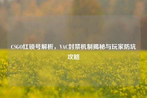 CSGO红锁号解析，VAC封禁机制揭秘与玩家防坑攻略