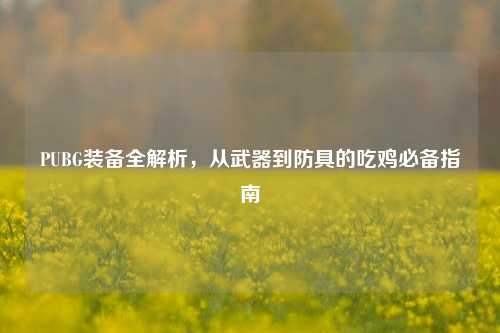 PUBG装备全解析，从武器到防具的吃鸡必备指南