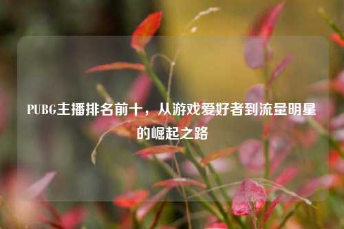PUBG主播排名前十，从游戏爱好者到流量明星的崛起之路