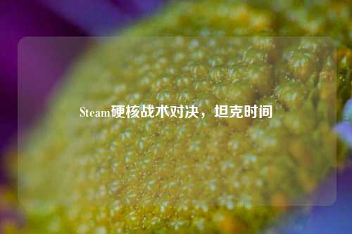 Steam硬核战术对决，坦克时间
