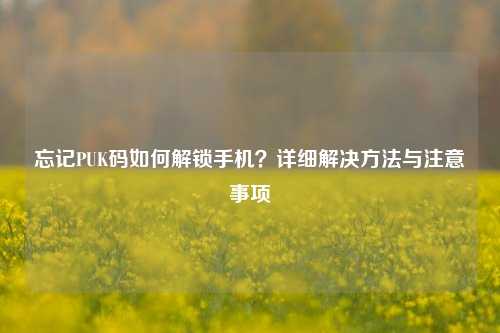 忘记PUK码如何解锁手机？详细解决方法与注意事项