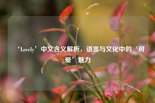 ‘Lovely’中文含义解析，语言与文化中的‘可爱’魅力