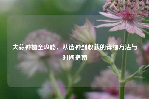 大蒜种植全攻略，从选种到收获的详细方法与时间指南