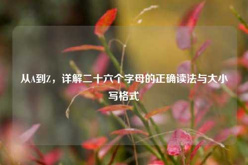 从A到Z，详解二十六个字母的正确读法与大小写格式