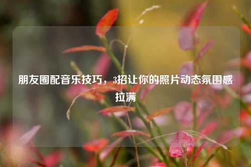 朋友圈配音乐技巧，3招让你的照片动态氛围感拉满