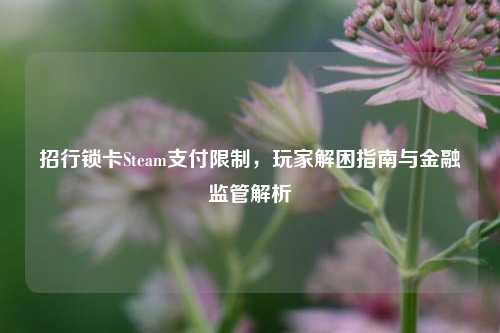 招行锁卡Steam支付限制，玩家解困指南与金融监管解析