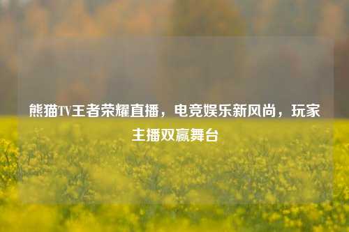 熊猫TV王者荣耀直播，电竞娱乐新风尚，玩家主播双赢舞台