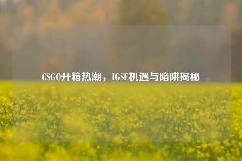 CSGO开箱热潮，IGSE机遇与陷阱揭秘