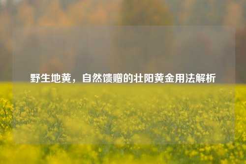 野生地黄，自然馈赠的壮阳黄金用法解析