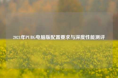 2021年PUBG电脑版配置要求与深度性能测评