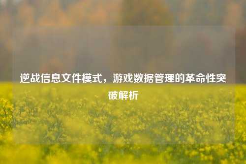 逆战信息文件模式，游戏数据管理的革命性突破解析